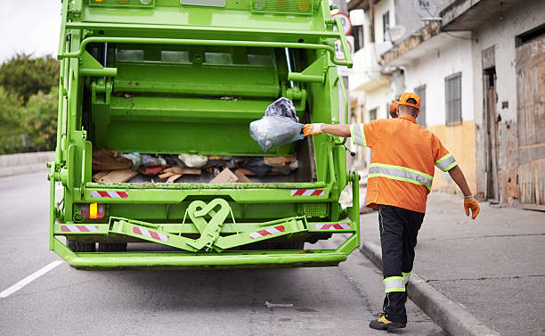 Best Shed Removal  in White Sulphur Springs, WV